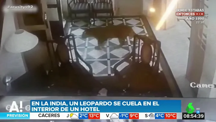 Un leopardo irrumpe en la recepción de un hotel muy popular entre los famosos de Bollywood