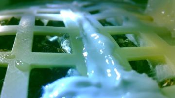Imagen de semillas de algodón germinadas en la Luna
