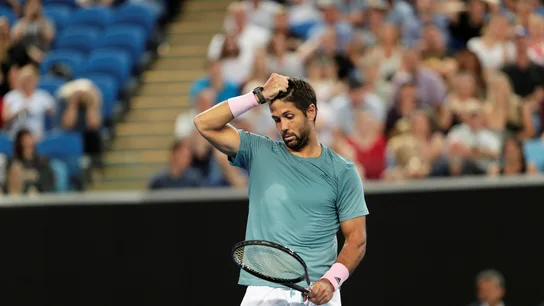 Verdasco se lamenta en un partido Verdasco se lamenta en un partido