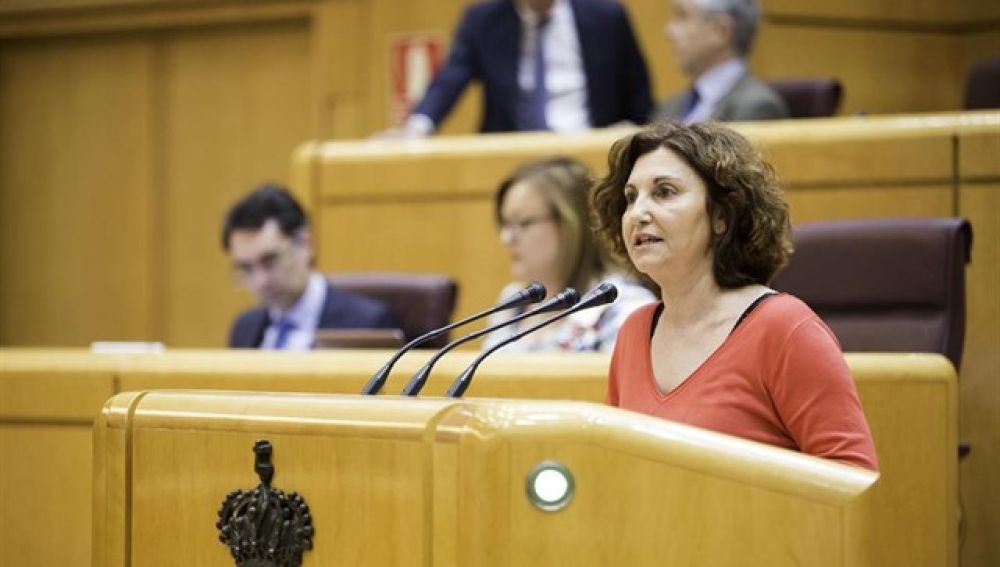 La portavoz de Unidos Podemos en el Senado, Pilar Garrido