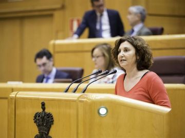 La portavoz de Unidos Podemos en el Senado, Pilar Garrido La portavoz de Unidos Podemos en el Senado, Pilar Garrido