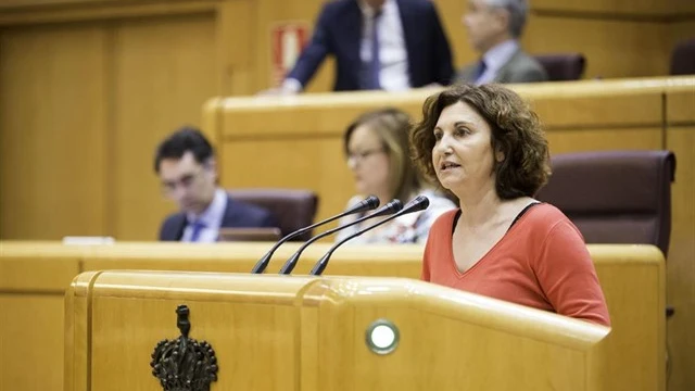 La portavoz de Unidos Podemos en el Senado, Pilar Garrido