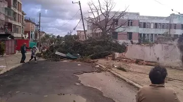 Varios árboles destrozados cortan las carreteras