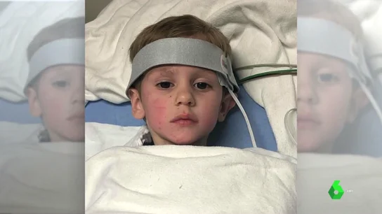 Un niño de tres años que desapareció en el bosque asegura que un "oso amigo" le mantuvo a salvo Un niño de tres años que desapareció en el bosque asegura que un "oso amigo" le mantuvo a salvo