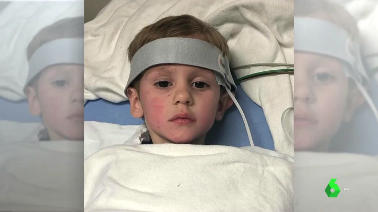 Un niño de tres años que desapareció en el bosque asegura que un "oso amigo" le mantuvo a salvo Un niño de tres años que desapareció en el bosque asegura que un "oso amigo" le mantuvo a salvo