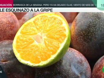 Estos son los mejores remedios caseros para dar esquinazo a la epidemia de gripe Estos son los mejores remedios caseros para dar esquinazo a la epidemia de gripe