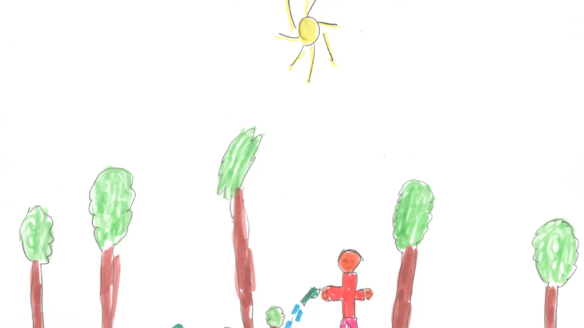 La simetria un recurso infantil espontaneo para dibujar el mundo vegetal