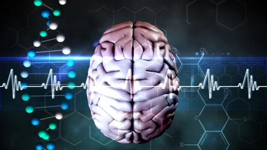 Ondas cerebrales (Archivo) Ondas cerebrales (Archivo)