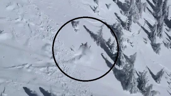 Un esquiador, sepultado por una avalancha Un esquiador, sepultado por una avalancha