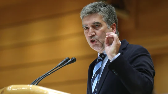 El senador del PP Ignacio Cosidó. El senador del PP Ignacio Cosidó.