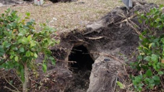 El t&uacute;nel investigado por el FBI en Pembroke Pines, Florida