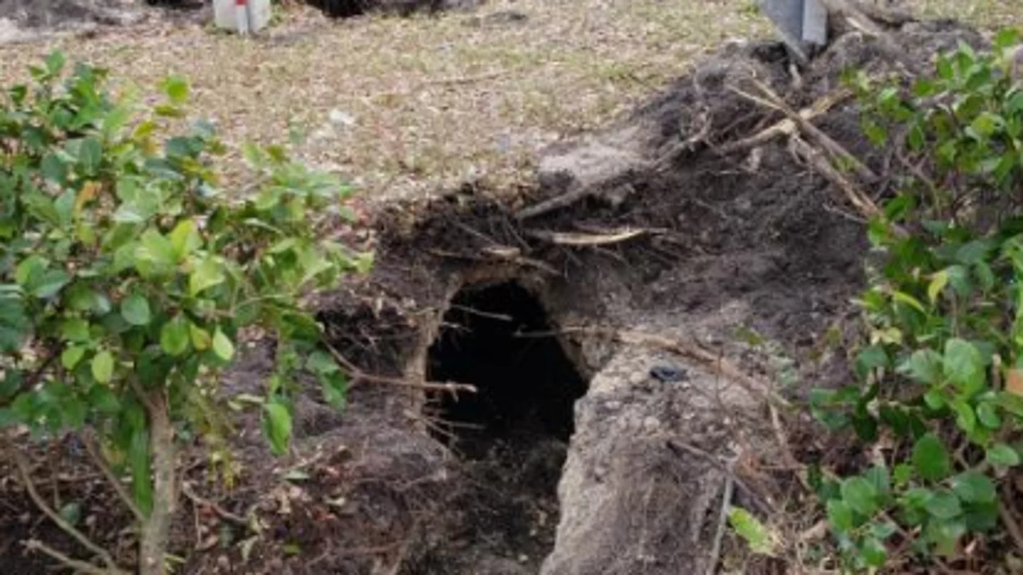 El túnel investigado por el FBI en Pembroke Pines, Florida El túnel investigado por el FBI en Pembroke Pines, Florida