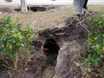 El túnel investigado por el FBI en Pembroke Pines, Florida El túnel investigado por el FBI en Pembroke Pines, Florida