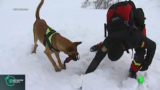 Rescate de la UME Rescate de la UME