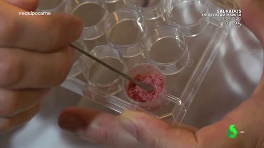 Una hamburguesa de laboratorio, ¿solución frente a la creciente demanda de carne? Una hamburguesa de laboratorio, ¿solución frente a la creciente demanda de carne?