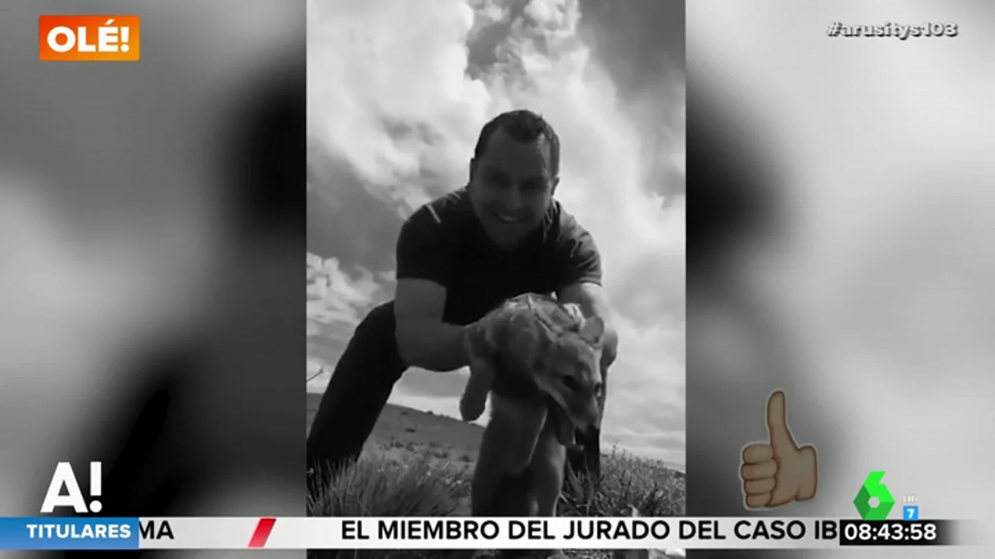 Un camionero se detiene en la carretera para liberar a un zorro atrapado en una caja de cartón Un camionero se detiene en la carretera para liberar a un zorro atrapado en una caja de cartón