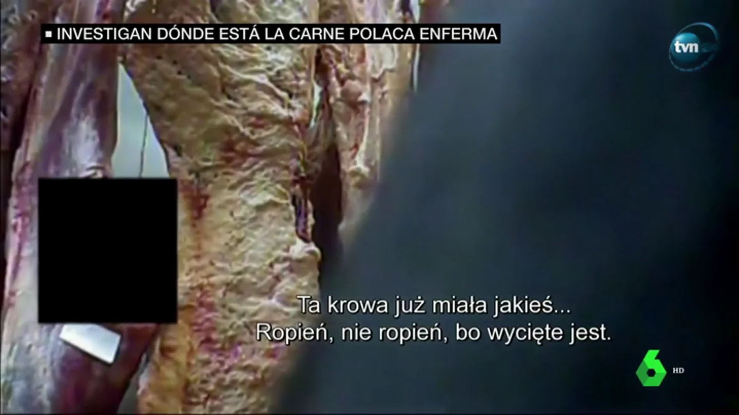 Carne contaminada de Polonia Carne contaminada de Polonia