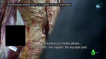 Carne contaminada de Polonia