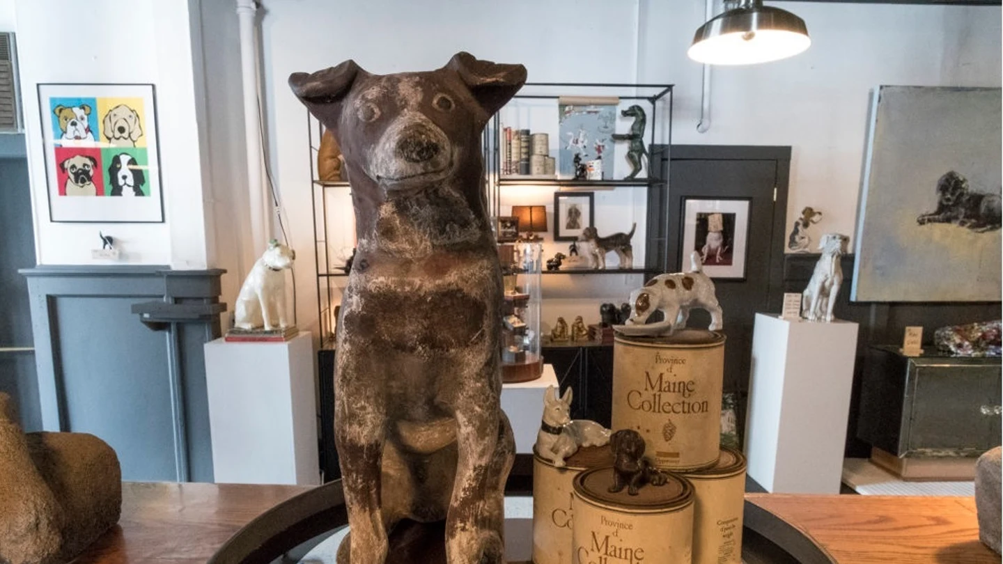 Dogs Museum, NY Dogs Museum, NY