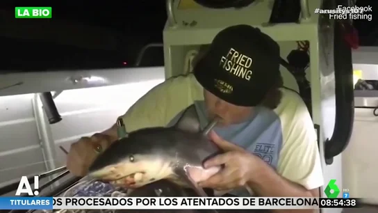 Un hombre transforma una cría de tiburón en cachimba Un hombre transforma una cría de tiburón en cachimba
