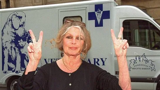 La actriz Brigitte Bardot Elecciones Europeas