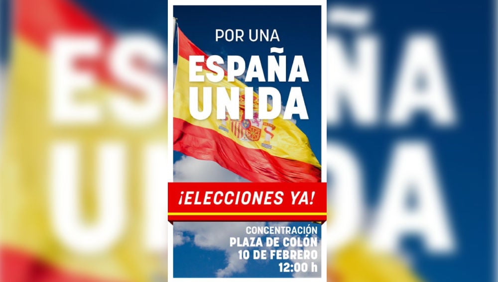 Manifestación "Por una España unida"