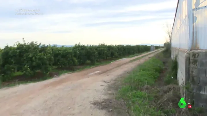 Más de 100.000 plantas de cánnabis legal o cómo apostar por un negocio diferente