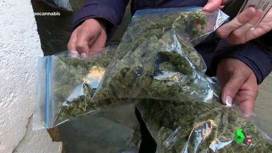 Granada esconde el gran negocio ilegal de la marihuana en España Granada esconde el gran negocio ilegal de la marihuana en España