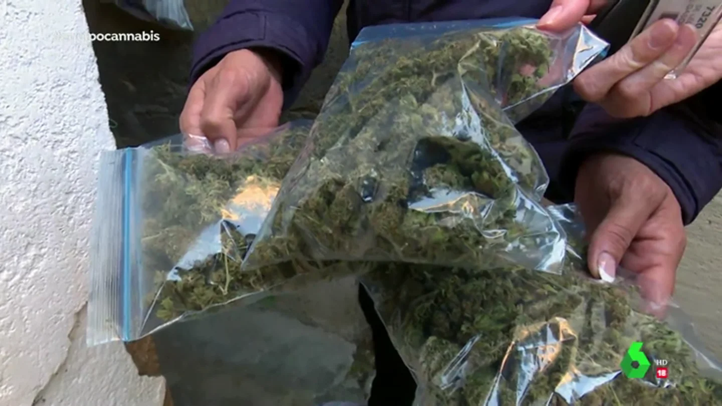 Granada esconde el gran negocio ilegal de la marihuana en España Granada esconde el gran negocio ilegal de la marihuana en España