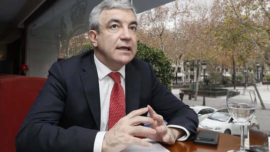 El responsable de Economía y Empleo de Ciudadanos, Luis Garicano El responsable de Economía y Empleo de Ciudadanos, Luis Garicano