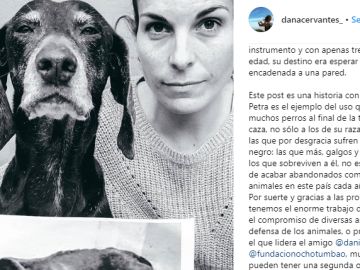 La imagen de Dana Cervantes La imagen de Dana Cervantes