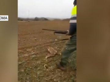 Imagen de un cazador que agrede brutalmente a un zorro Imagen de un cazador que agrede brutalmente a un zorro