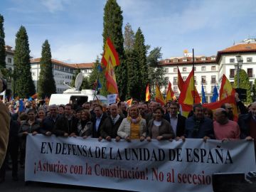Manifestación por la unidad de España en Oviedo Manifestación por la unidad de España en Oviedo