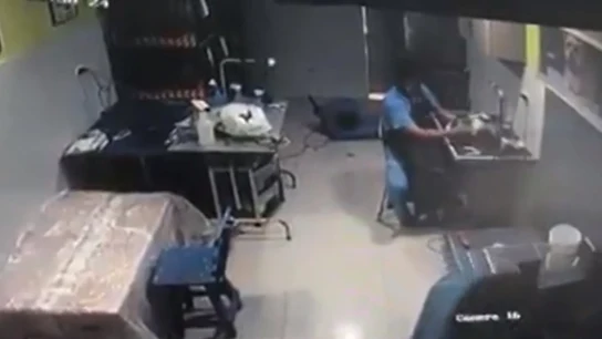 Imagen del maltrato a un perro Imagen del maltrato a un perro