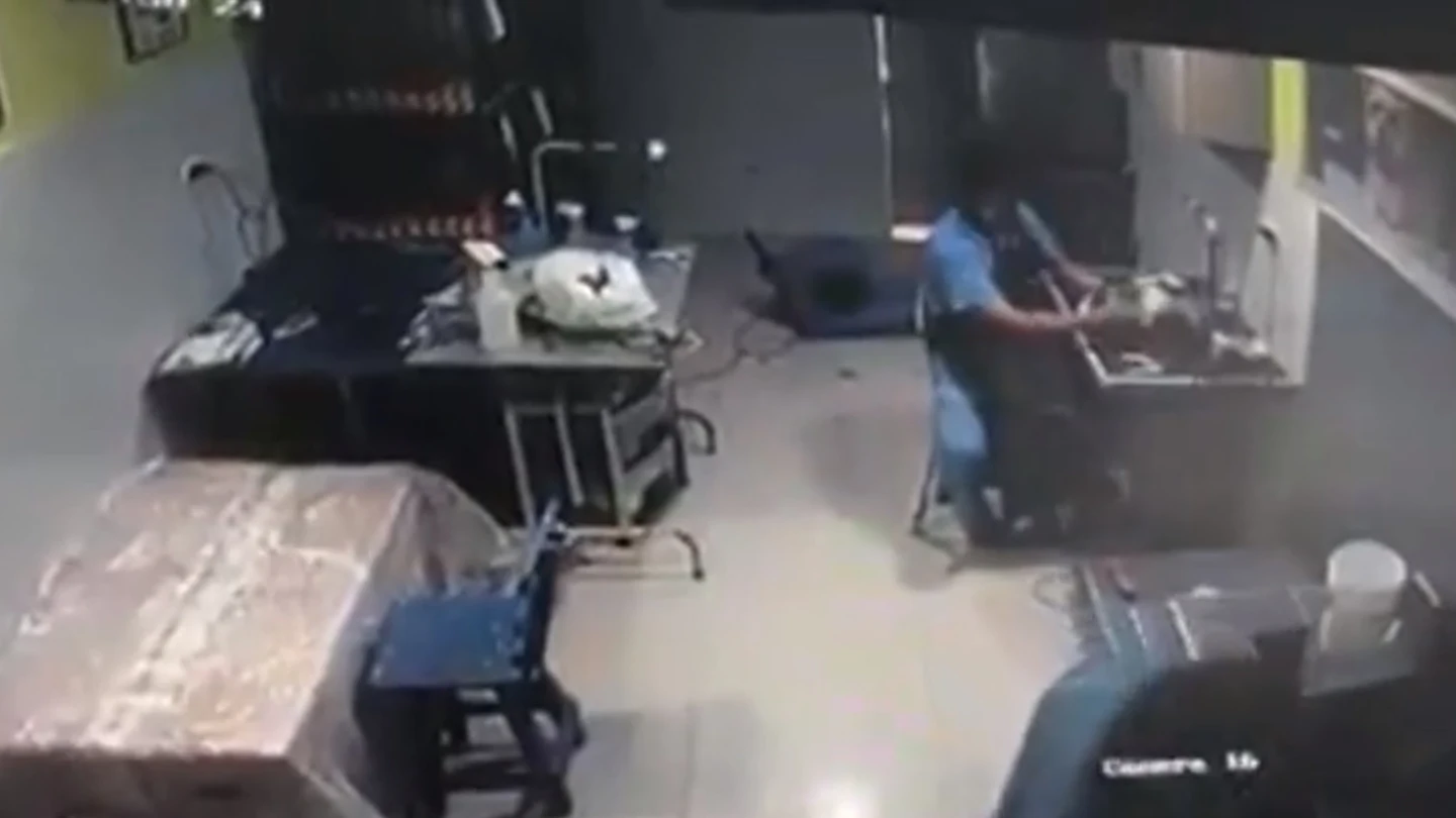 Imagen del maltrato a un perro Imagen del maltrato a un perro