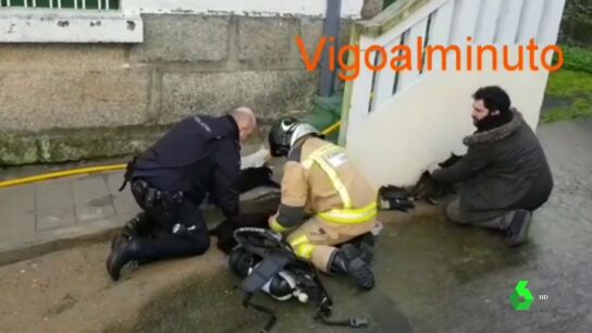 La Polic&iacute;a y los bomberos rescatan y reaniman a seis gatos atrapados en un incendio en Vigo