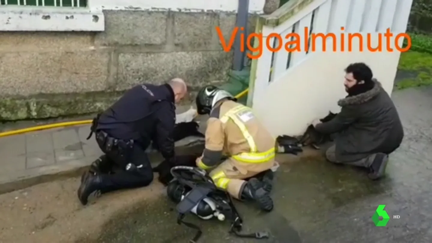 La Policía y los bomberos rescatan y reaniman a seis gatos atrapados en un incendio en Vigo La Policía y los bomberos rescatan y reaniman a seis gatos atrapados en un incendio en Vigo