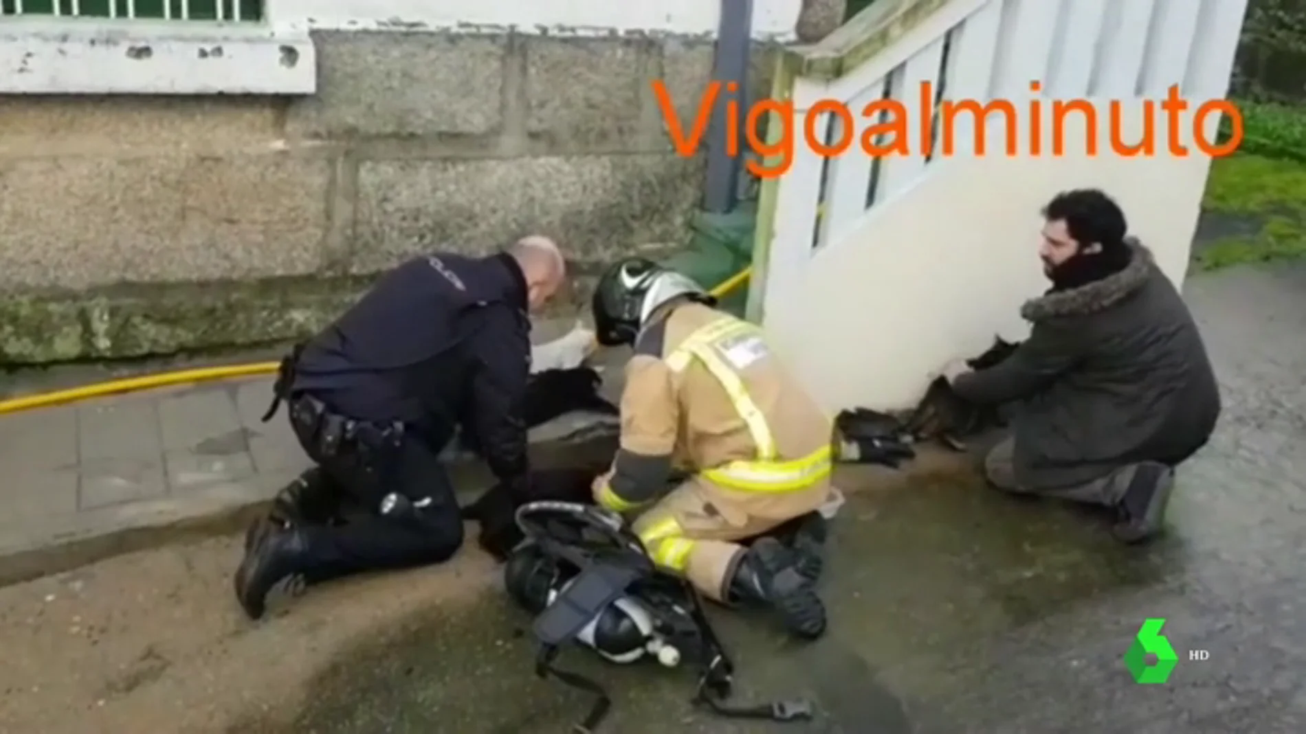 La Policía y los bomberos rescatan y reaniman a seis gatos atrapados en un incendio en Vigo
