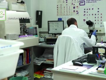 Científicos españoles desarrollan dos vacunas contra la hepatitis C Científicos españoles desarrollan dos vacunas contra la hepatitis C