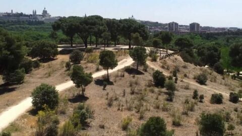 Casa de Campo. Madrid