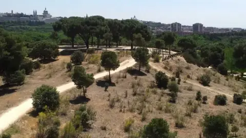 Casa de Campo. Madrid Casa de Campo. Madrid
