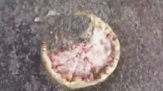 El vídeo de 10.000 gusanos devorando una pizza que muestra cómo se organizan las larvas para comer El vídeo de 10.000 gusanos devorando una pizza que muestra cómo se organizan las larvas para comer
