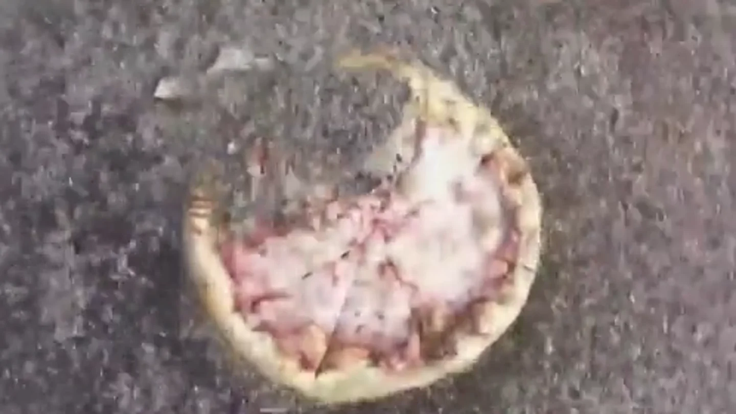 El vídeo de 10.000 gusanos devorando una pizza que muestra cómo se organizan las larvas para comer El vídeo de 10.000 gusanos devorando una pizza que muestra cómo se organizan las larvas para comer