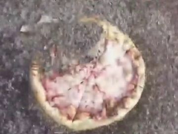 El vídeo de 10.000 gusanos devorando una pizza que muestra cómo se organizan las larvas para comer