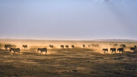 Kenia