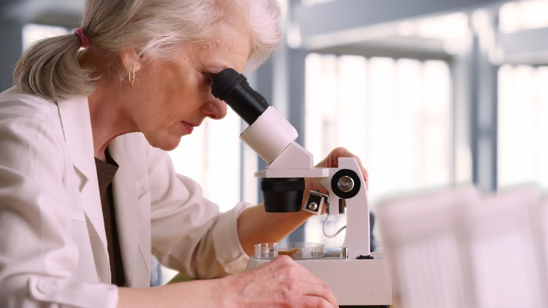 Persisten los obstaculos para que las mujeres accedan a los altos cargos en ciencia