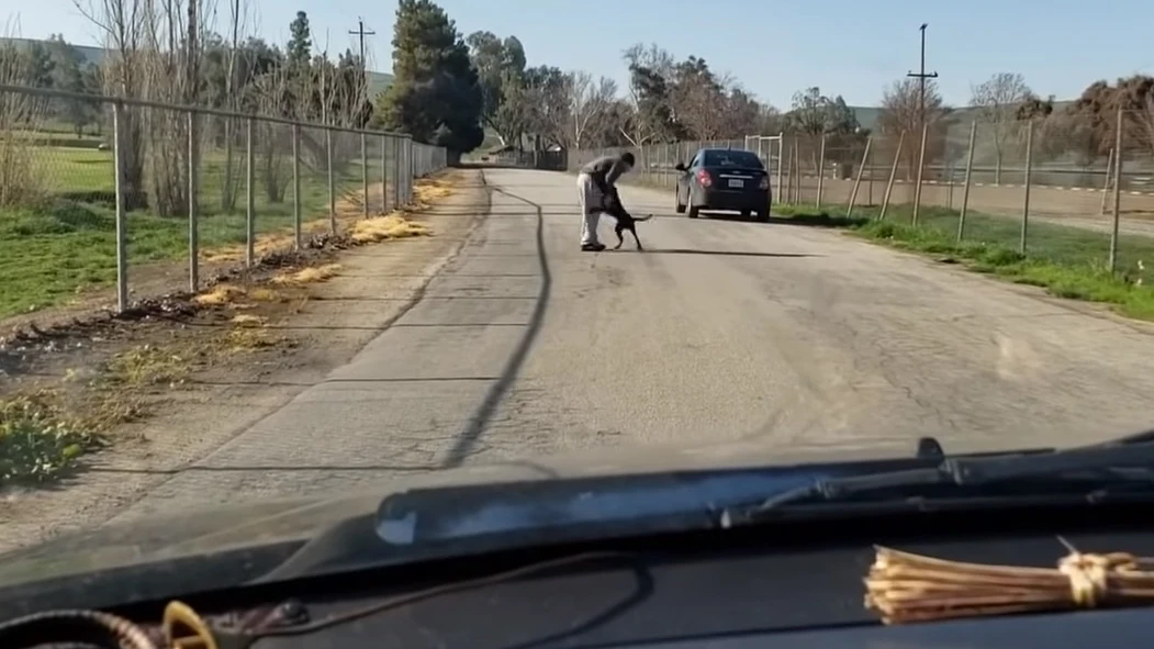 El hombre empuja al perro y le abandona en medio de una carretera.