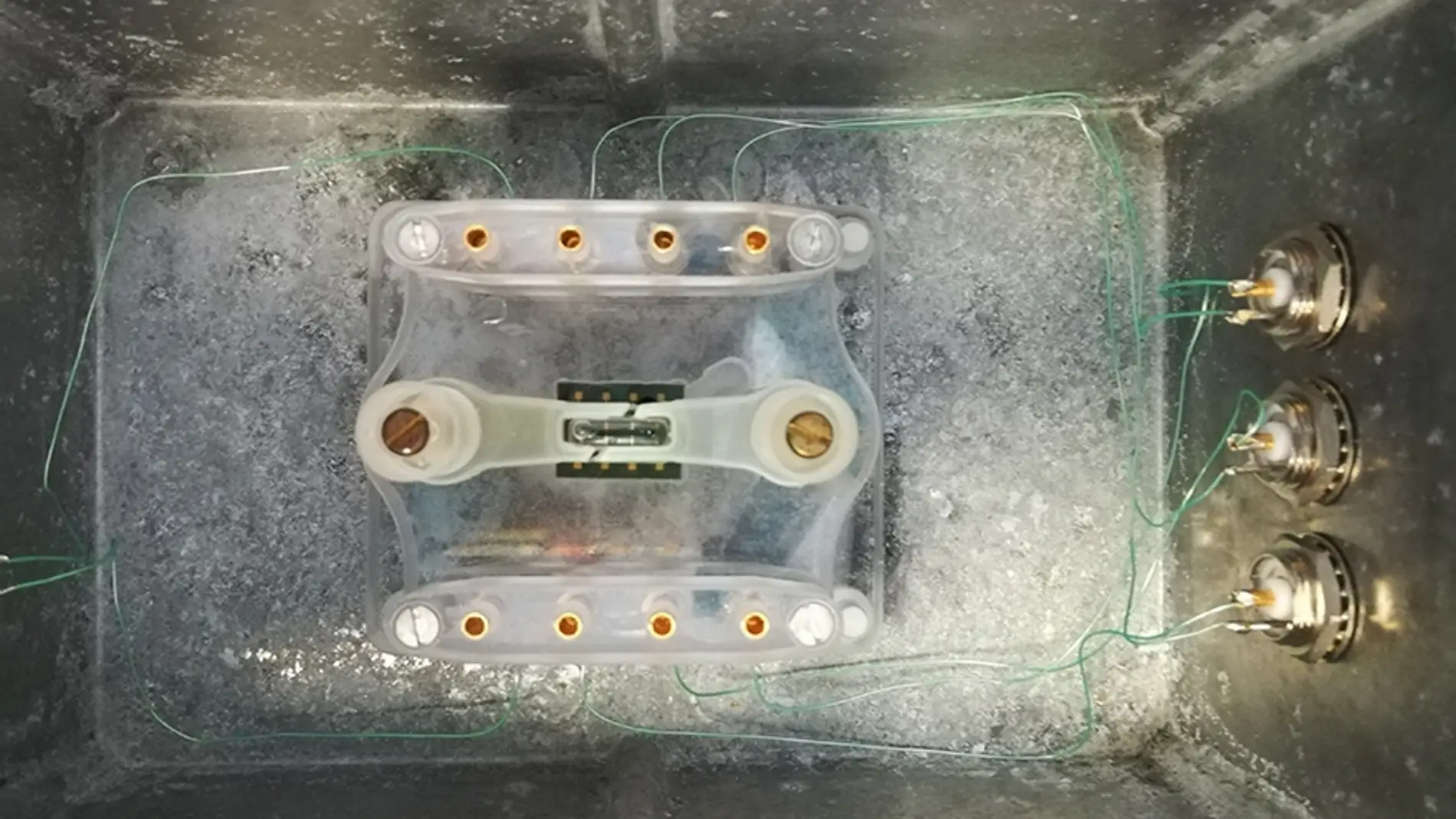 Montaje del chip de silicio empleado dentro de la caja que será introducida en el incubador