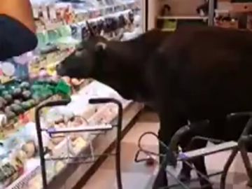 Cuatro vacas invaden un supermercado en Hong Kong para darse un buen festín Cuatro vacas invaden un supermercado en Hong Kong para darse un buen festín