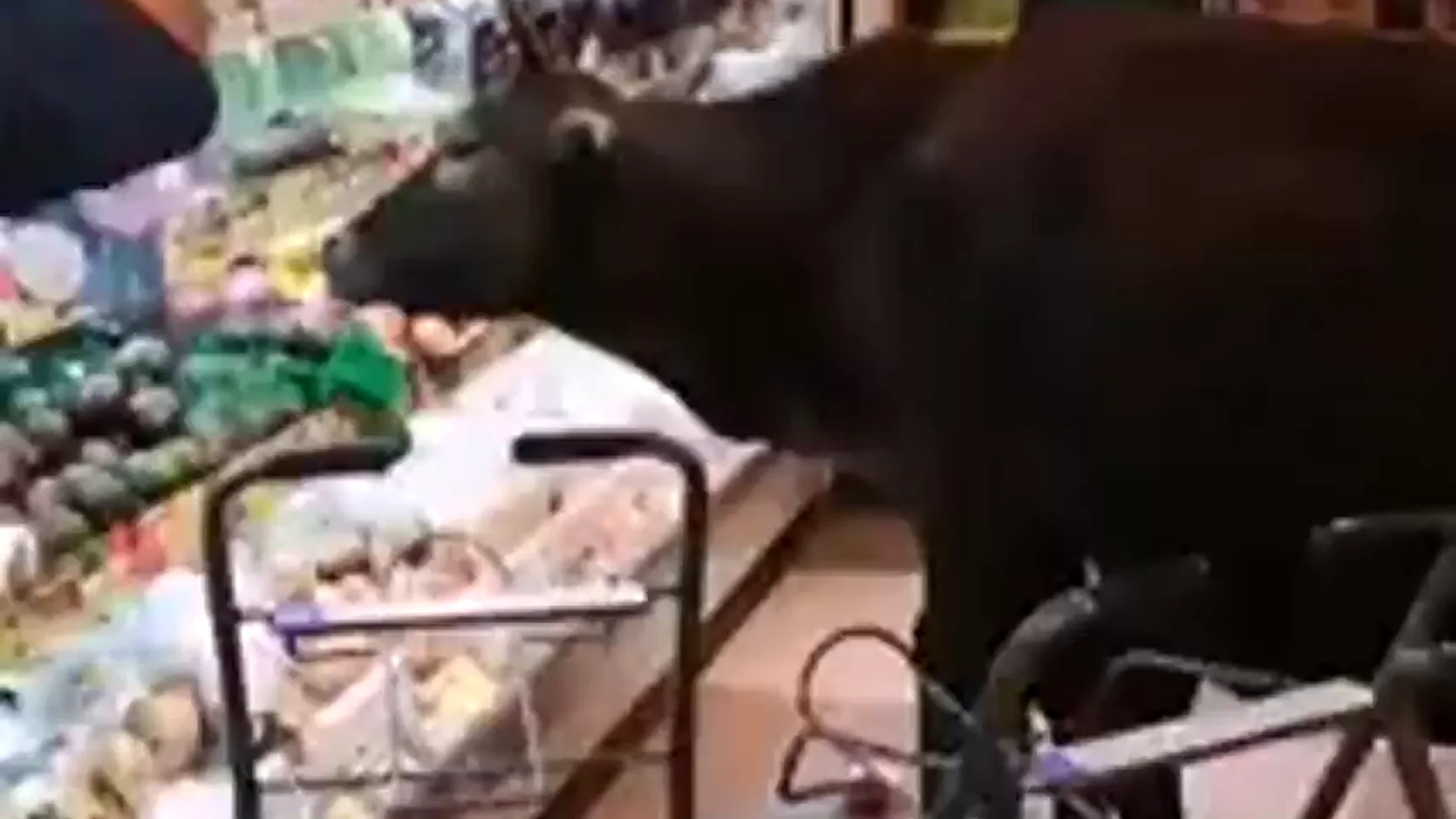Cuatro vacas invaden un supermercado en Hong Kong para darse un buen festín